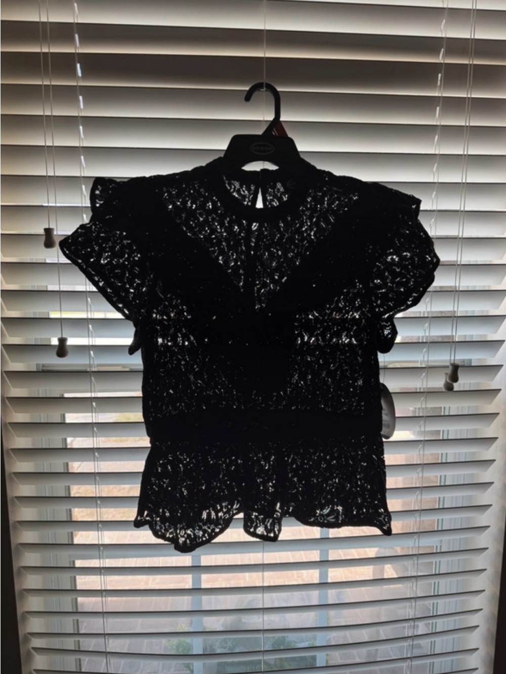 Sheer Black Lace Ruffle-Sleeve Blouse Size 8-10